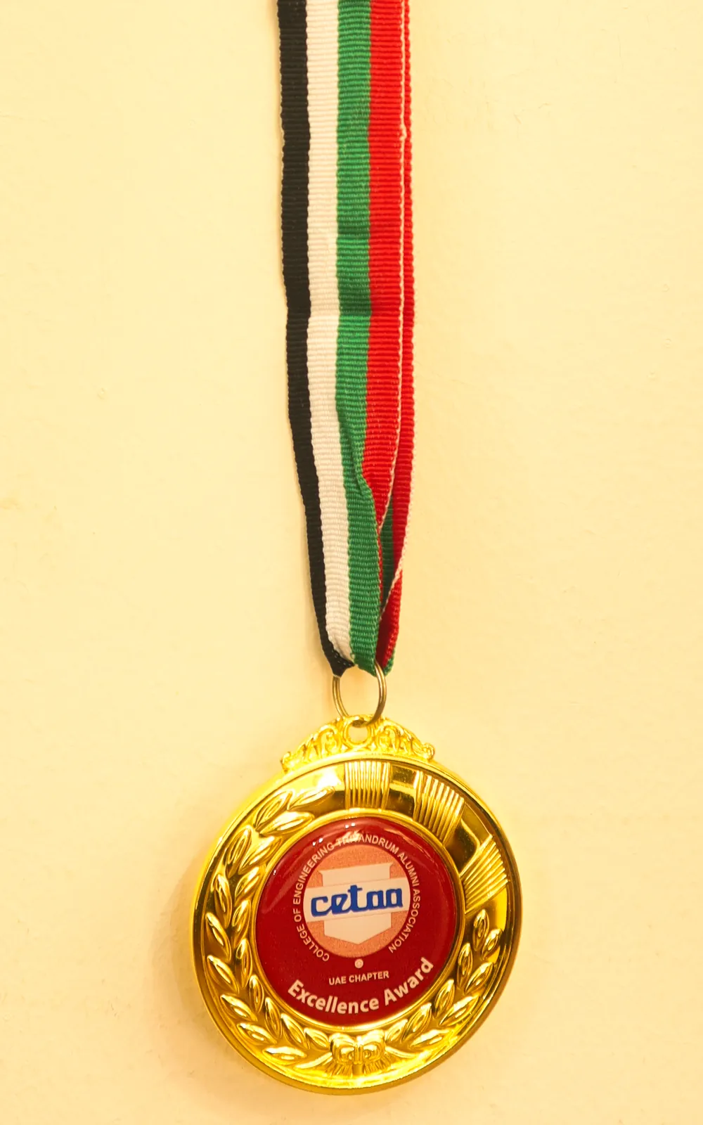 The CETAA Excellence Award gold medal